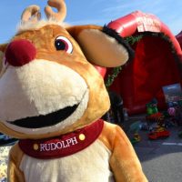 Kostüm Rudolph, Rudolph mit der roten Nase, Geschenke verteilen, Walking Act, Maskottchen, Weihnachten, Winterzeit