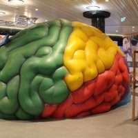 Das Gehirn - Interaktive Lernwelten