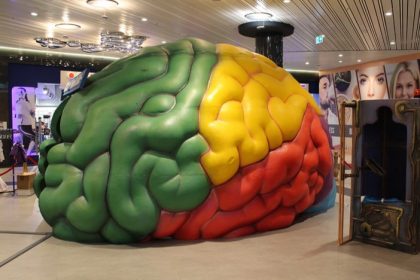 Interaktive Lernwelten - The Human Body for Kids - Das Gehirn
