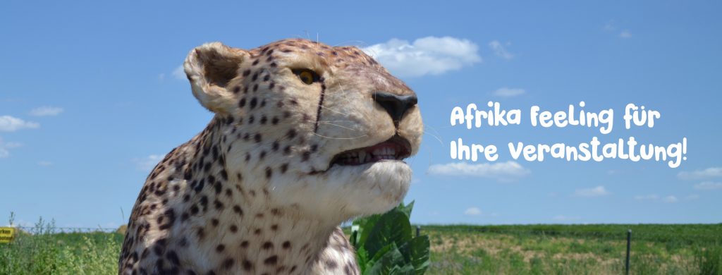 Aussschnitt Leopard animatronisch mit Schriftzug Afrika Feeling für Ihre Veranstaltung