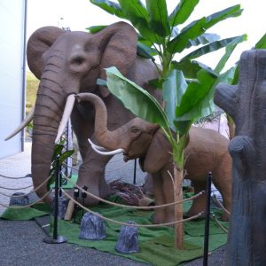 Elefanten Afrika Afrika-Ausstellung Themenausstellung