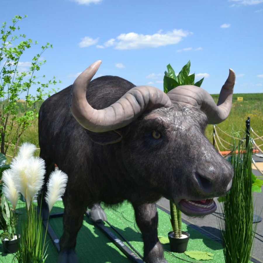 Animatronischer Büffel Afrika Afrika-Ausstellung Themenausstellung