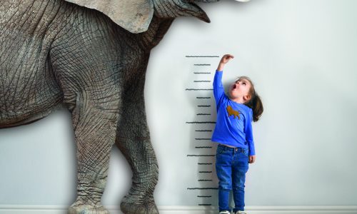Kleines Mädchen vergleicht ihre Größe mit einem Elefanten