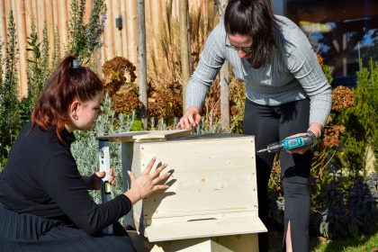 Team-Event gemeinsam Bienenstock gegen Bienensterben bauen