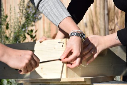 Gemeinsam einen Bienenstock mit PV Anlage bauen - nachhaltiger Team Event